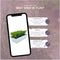 Plants by Frank | 6 Rozemarijnplant | Vaste planten | Tuinplanten | 6 x Ø7 cm | 15 cm | Rosmarinus offincalis winterhard | Geurhaag