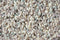 Brink en Campman - Young 61804 Vloerkleed - 200x280 - Rechthoek - Hoogpolig Tapijt - Landelijk - Blauw, Grijs, Wit