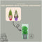 Plants by Frank | Set van 2 Geurende kerstboompjes | 15 cm Ø | 40-50 cm ↨ | Kerst decoratie | Kerstversiering | Kerstdecoratie | Tuinplanten