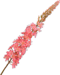 Silk-ka Kunstbloem-Zijden Bloem Eremurus Steel Roze-Zalm 107 cm