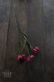 Silk-ka Kunstbloem-Zijden Bloem Fritillaria Tak Roze 64 cm Voordeelaanbod Per 2 Stuks
