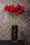 PTMD Amaryllis Flower Burgundy Amaryllis Spray