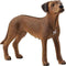 schleich FARM WORLD - Rhodesische ridgeback - 13895