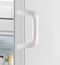 Hisense FV191N4AWD - Vrieskast - 155L - Energieklasse D - Wit