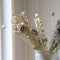 Plant in a Box - Boeket 'Drummer' - Droogbloemen - hoogte 50cm