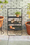 Mica Decorations Plantentafel Greenrax - 55x42x100 cm - Ijzer - Zwart