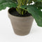 Mica Decorations Gerbera Kunstplant in Bloempot Stan - H35 x Ø30 cm - Rood