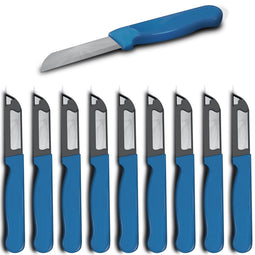 Solingen Schilmesje - RVS Glad 16 cm - Robuust Handvat Blauw (10 stuks)