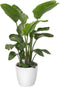 Elho Brussels Rond Wielen - Grote Bloempot - 100% Gerecycled Plastic - Ø 39.0 x H 36.5 cm - Wit