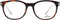 Men' Spectacle frame Omega OM5013 53056