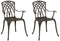 vidaXL - Tuinstoelen - Set - van - 2 - - - Bronzen - Gietaluminium
