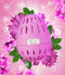 EcoEgg Was ei – British Blooms- Wasparels – Navulbaar – Geschikt voor de gevoelige huid – Dermatologisch getest - 70 wasbeurten (Roze)