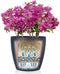 LECHUZA CLASSICO Color 70 - Plantenbak - Bewateringssysteem - Wit
