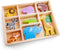 New Classic Toys® Houten Safari Dieren - Speelfigurenset met 8 dieren - Inclusief houten opbergdoos