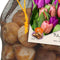Baltus - Bollen Tulipa Darwin mix roze/paars 40 stuks