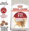 Royal Canin Fit 32 - Kattenvoer - Ondersteunt gezond gewicht en vermindert haarballen - 4 kg