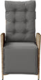 vidaXL - Tuinstoelen - 2 - st - verstelbaar - voetensteun - poly - rattan - beige - mix