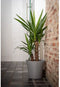 Waterreservepot - GARDEN ID - Green Care Sense Taupe 30 cm - 10 jaar garantie - 100% gerecycled