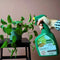 Pokon Bio - Tegen Hardnekkige Insecten Spray - 800ml - Zichtbaar effect binnen 24 uur - Bestrijdt wolluizen dopluizen schildluizen spintmijten