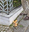 Rothenberger Universele Gasbrander - Onkruidbrander - Vlamtemperatuur 940 °C - Lengte 70 cm