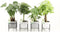 Jungle Mix in Standing Rustique - Set van 4 - Bakker Mondo - Combibox- Hoogte 40 cm