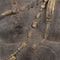 Beeld 38 x 22 x 76 cm
