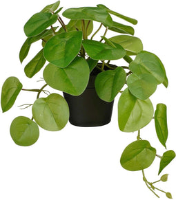 Mica Decorations Kunstplant Pilea - 40x22x23 cm - foam - Groen