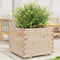 vidaXL - Plantenbak - 60x60x49,5 - cm - massief - grenenhout