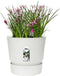 Elho Greenville Rond 30 - Grote Bloempot met Waterreservoir - 100% Gerecycled Plastic - Ø 29.5 x H 27.8 cm - Wit
