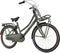 Popal Daily Dutch Basic+ N3 - Kinder Transportfiets - 24 Inch - Legergroen