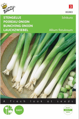 2 stuks - Buzzy - Uien Stengel Ui Ishikura