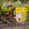 ECOStyle Vinassekali Organische Meststof - Vuor Kaliumtekort - Voor Moestuin, Siertuin en Fruit - Hoger Weerstand tegen Droogte & Vorst - 15M² - 800 GR