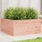 vidaXL - Plantenbak - 100x100x46 - cm - massief - douglashout