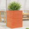 vidaXL - Plantenbak - 50x50x68,5 - cm - massief - grenenhout - wasbruin