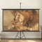 vidaXL - Projectiescherm - 4:3 - 50''