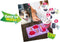Smoofl Premium Hondensnacks: Ijs voor honden als een snack om af te koelen in de zomer en als een gezonde hond traktatie met verfrissend effect, honden ijs met watermeloen