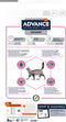 Advance Kat Veterinary Diet Urinary Care - Kattenvoer - 8 kg