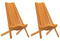 vidaXL - Opvouwbare - Tuinstoelen - 2 - stuks - Massief - Hout - Acacia