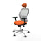Piqueras y Crespo 2D086G1 - Bureaustoel - Hoofdsteun en lendensteun - Oranje