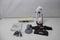 Kärcher WV 2 Plus N - Ruitenreiniger - Looptijd accu 35 min - Werkbreedte 170/280 mm - Wit