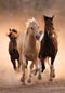 Clementoni - Puzzel - 1000 Stukjes - Rennende Paarden - Puzzel Voor Volwassenen - High Quality Collection