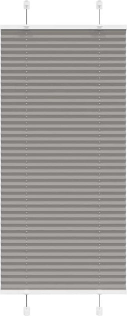 vidaXL - Plissé - rolgordijn - 60x100 - cm - stofbreedte - 59,4 - cm - antraciet