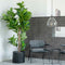 House Nordic Kunstplant Fiddle Leaf Boom 190cm