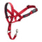 Trainingshalsbanden voor honden Company of Animals Halti Muilkorf (40-54 cm)
