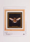 Thea Gouverneur - Borduurpakket met telpatroon - 3018.05 - Voorgesorteerde DMC Garens - Hommel - Zwart Aida - 17 cm x 18 cm - DIY Kit