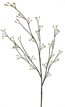 Pussy willow spray cream 120cmNova Nature