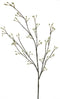 Pussy willow spray cream 120cmNova Nature