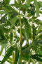 Mica Decorations Bamboe Kunstplant in Pot - H150 x Ø60 cm - Groen