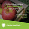 Gecko Covers - Apple-Peel Cover voor iPad (2025) (11th Gen) / iPad (2022) (10th Gen) - Slaap/Wake functie - Groen
