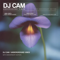 DJ Cam - Underground Vibes - LP